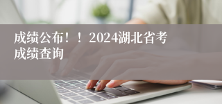 成绩公布！！2024湖北省考成绩查询