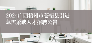 2024广西梧州市苍梧县引进急需紧缺凯发k8国际手机app下载的人才招聘公告